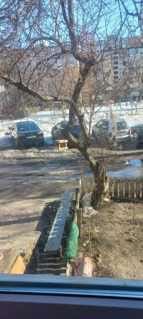 Здам 2х кім польва - фото 1