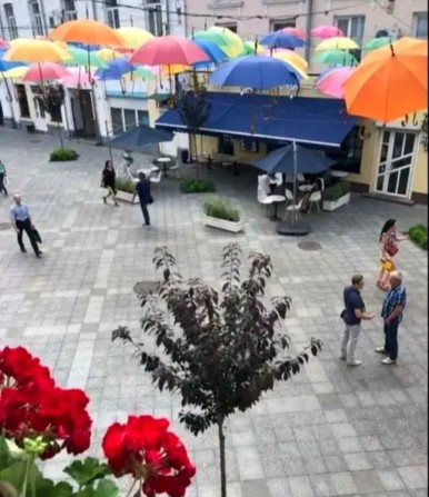 Оренда двокімнатної квартири в серці Житомира - фото 1