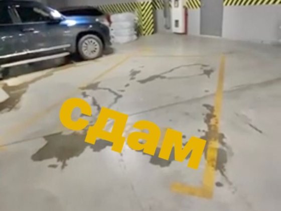 Сдам паркинг 44 жемчужина Каманина