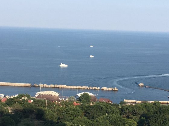 Сдам квартиру Кадор Каманина Одеса