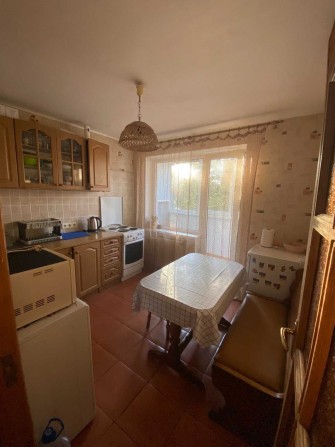 Аренда 1к кв., Виноградарь, пр. Европейского Союза - фото 1