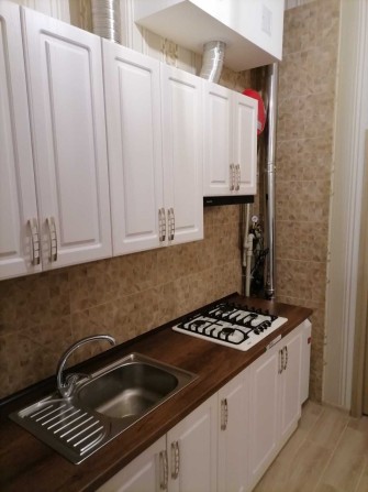 здам 1 к\кв на землі, студія, євро ремонт,поруч Соборна,заїзд для авто - фото 1