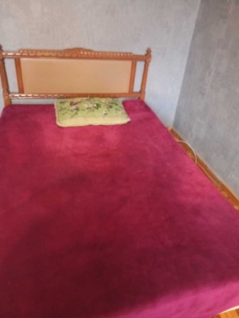 Оренда 1 кімнатної в центрі. - фото 1