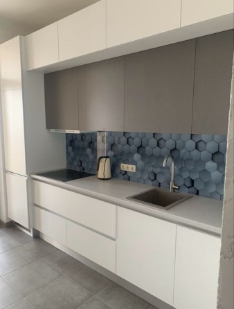 Аренда 1 ком квартиры ЖК МЛЕЧНЫЙ ПУТЬ , Центр, Пушкинская - фото 1