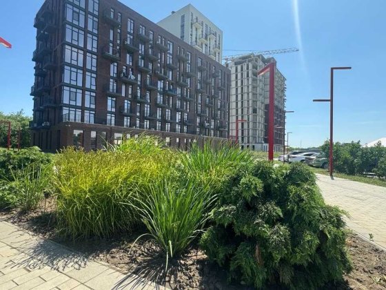 Сдам студию в Пространстве на Радостной