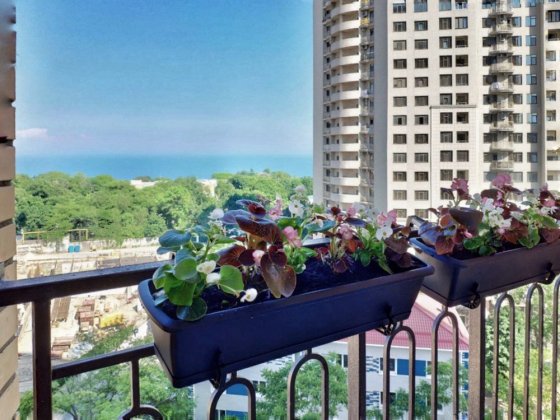 Сдам !СВОЮ! с прекрасным видом 1-к квартира