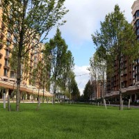 1-к квартира Фастівський, Новосілки, 55000 $ Новосілки