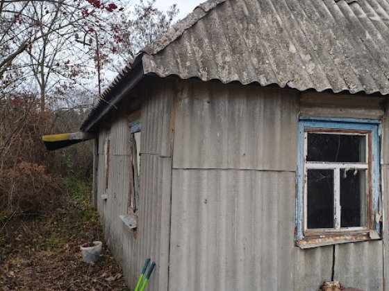 Продам старий будиночок з гарною земельною ділянкою в Скригалівці Фастов