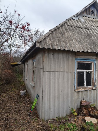 Продам старий будиночок з гарною земельною ділянкою в Скригалівці - фото 1