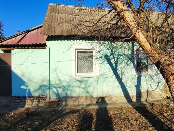 Продам фінський цегляний будинок Олександрія