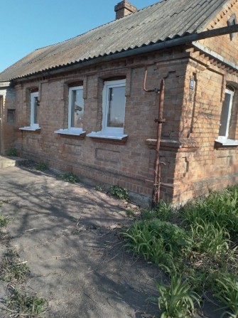 Продам недорого будинок в Бердичеві - фото 1