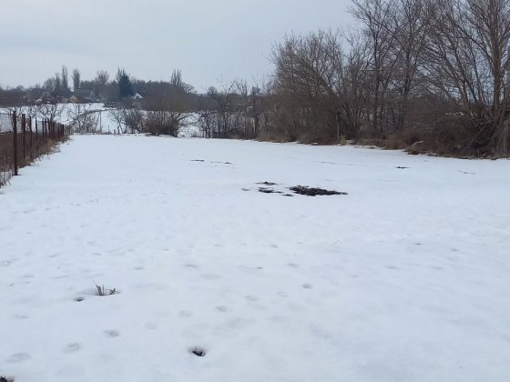 Земельна ділянка в Фастовці Фастів