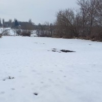 Земельна ділянка в Фастовці Фастов