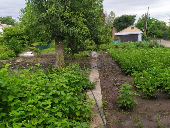 Дача с домиком недалеко пляж. Олександрія