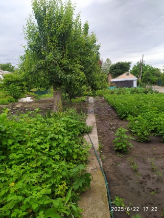 Дача с домиком недалеко пляж. - фото 1