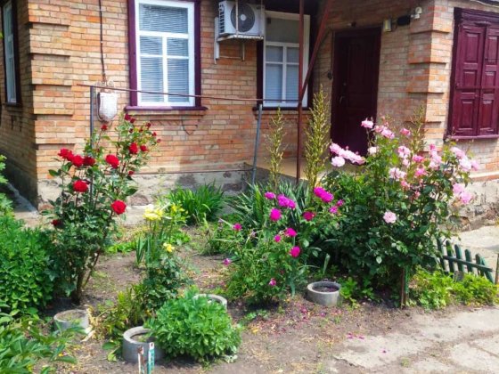 Продам будинок в Олександрії Олександрія