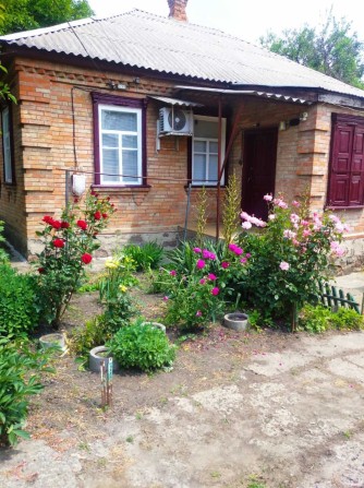 Продам будинок в Олександрії - фото 1