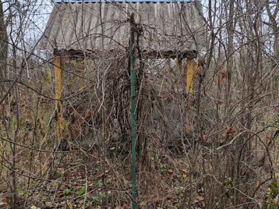 Земельна ділянка в Дорогинці Фастів