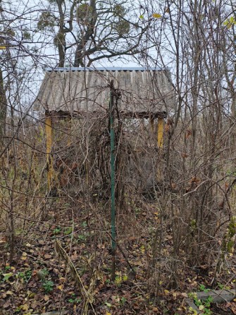 Земельна ділянка в Дорогинці - фото 1