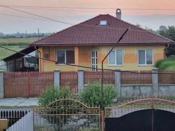 Продажа будинку 219м² + 2x 20 сот ( 2 участок) смт Батьово Берегове