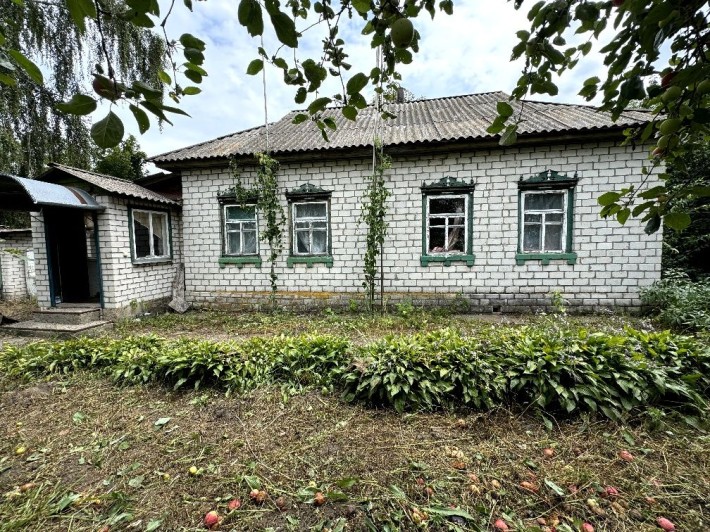 Приватний будинок - фото 1