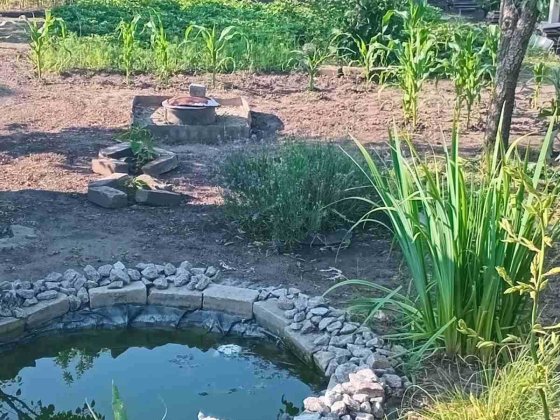 ПРОДАМ ДАЧУ. ДОМ. с Николаевка. Обуховский район.Днепр-ая обл Кам'янське