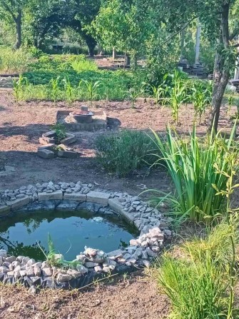 ПРОДАМ ДАЧУ. ДОМ. с Николаевка. Обуховский район.Днепр-ая обл - фото 1