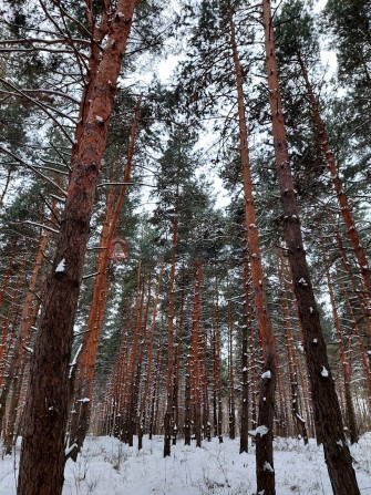 Садовий будинок біля лісу та річки - фото 1