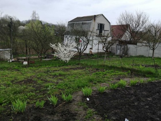 Продам дачу в Василькові Васильков