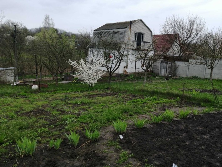 Продам дачу в Василькові - фото 1