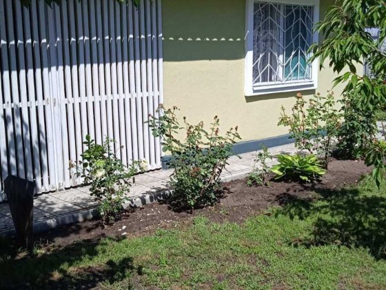 Продам дачу на Левом берегу