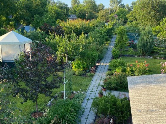 Продається дача за Власівкою Власовка