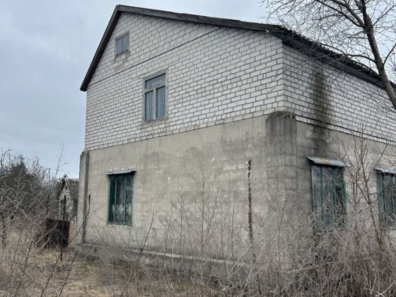 Дача, Камʼянське, чайка. Со Дніпро Кам'янське