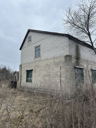 Дача, Камʼянське, чайка. Со Дніпро - фото 1