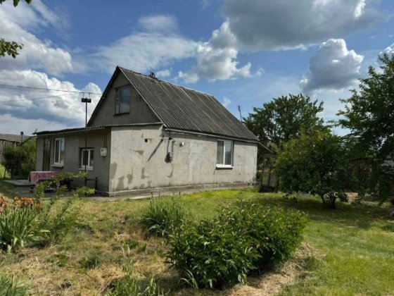 Дом с газом с. Гречаное. Большой участок земли Каменское