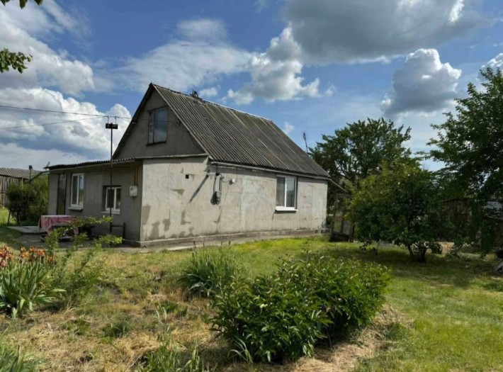 Дом с газом с. Гречаное. Большой участок земли - фото 1