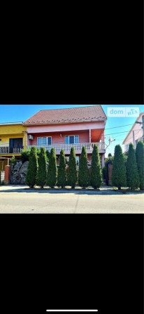 Будинок, дом, Виноградів - фото 1