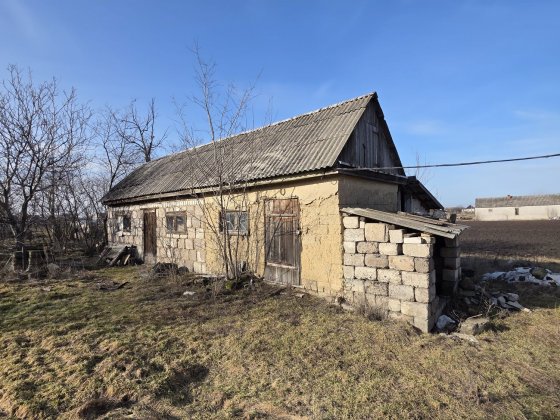 Будинок з ділянкою 25 соток Кам'янське