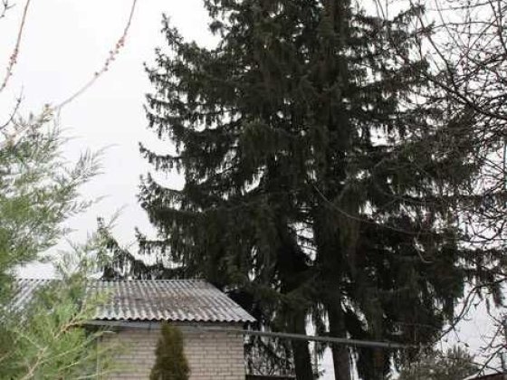 Продам дом в Високом Участок 15 сот Газовое отопление Тихий районTB Високий