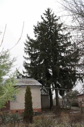 Продам дом в Високом Участок 15 сот Газовое отопление Тихий районTB - фото 1