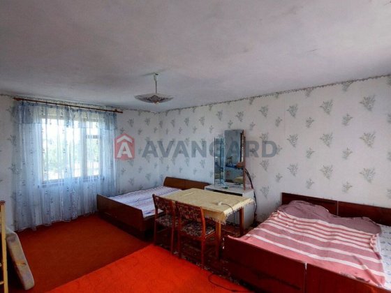 Дачний будинок біля лісу Кам'янське