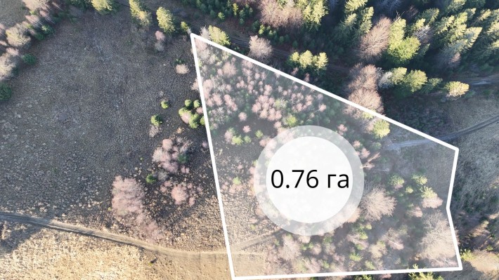 Земельна ділянка у Микуличині 0.76 га - фото 1