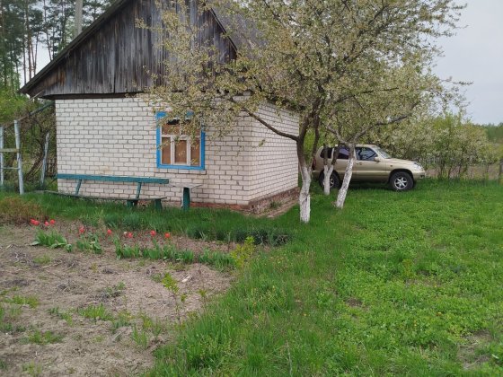 Продам дачний будинок (3 участки) Глухов