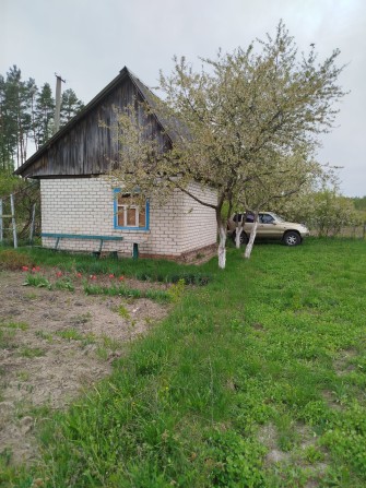 Продам дачний будинок (3 участки) - фото 1