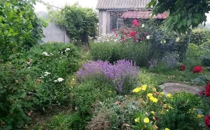 (13) Продам компактний будинок.в с. Олександрівка (Чорноморськ). - фото 1