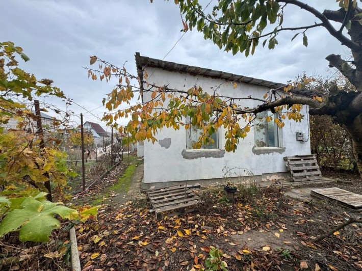 Дача біля моря (Ветеран, Чорноморськ) - фото 1