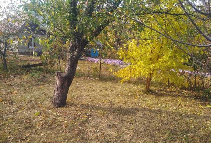 Продається земельна ділянка - фото 1