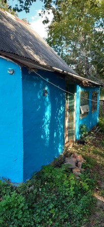 дом с участком Старі Воробьи Малин - фото 1