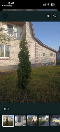 Продам будинок в дачному масиві с. Чижівка - фото 1