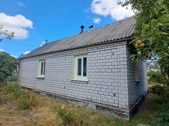 Продаж будинку з великою територією. Звягель